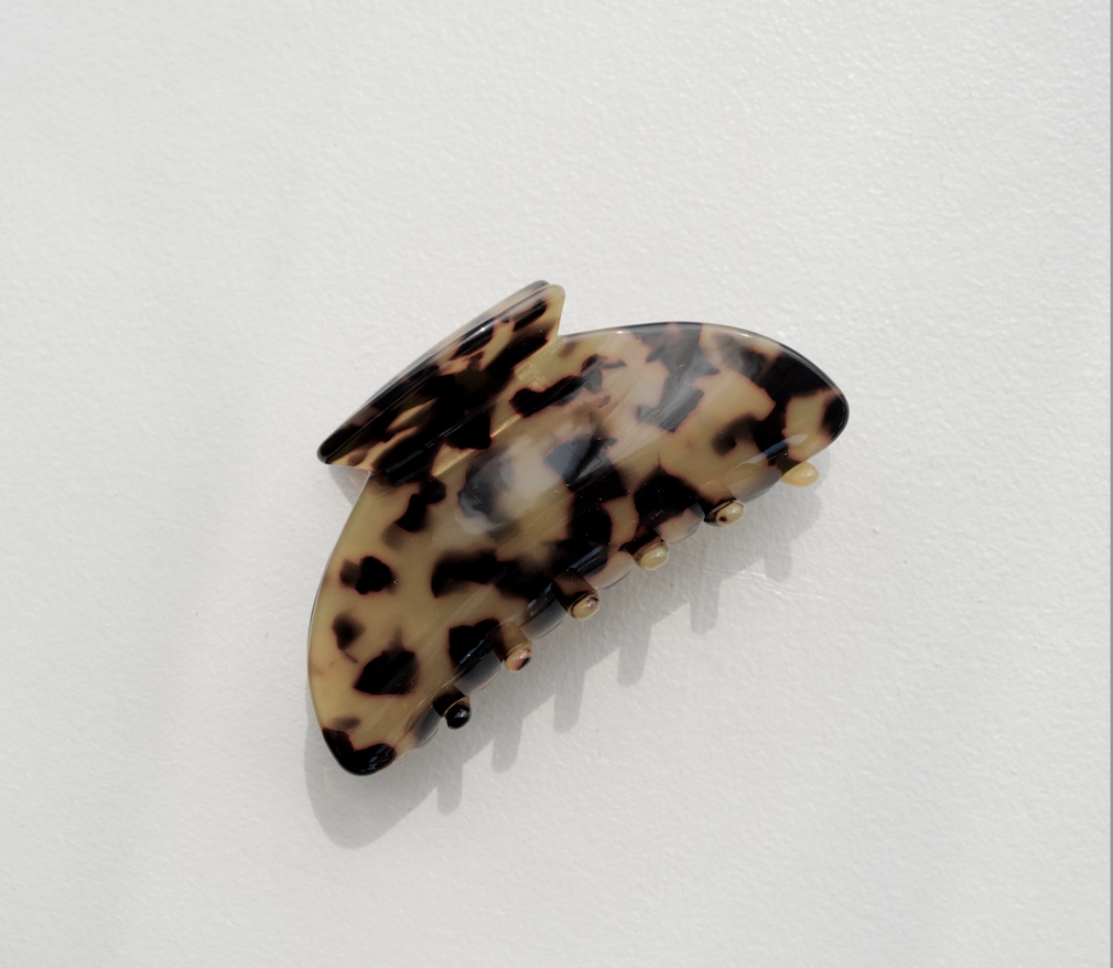 The Daily Clip - Light Tortoise